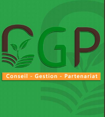 Alternatives immobilières pour les conseillers en gestion de patrimoine (CGP) 